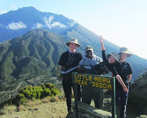 Little meru